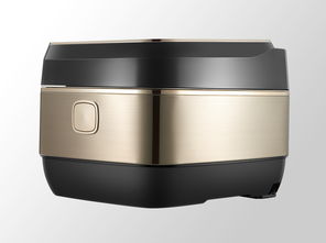 格力电器 电饭煲精修与电器维护指南